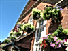 BEET Bournemouth Resimleri 4